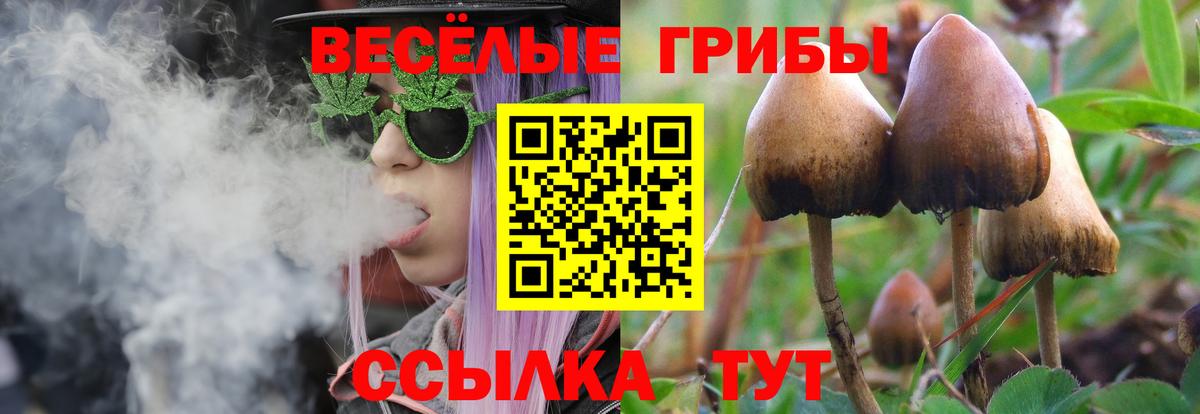 Псилоцибиновые грибы Cubensis  Вход с VPN  Воркута 